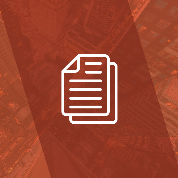 Guide/White Paper